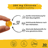 Ingwer Gummies – Zuckerfrei, mit Chicorée & Vitamin C